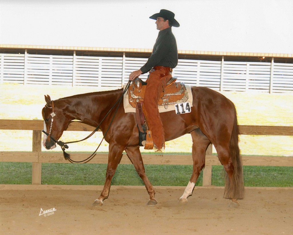 Huntin For Home "Shorty" 2005 mare in foal to RL Best Of Sudden due April 2010